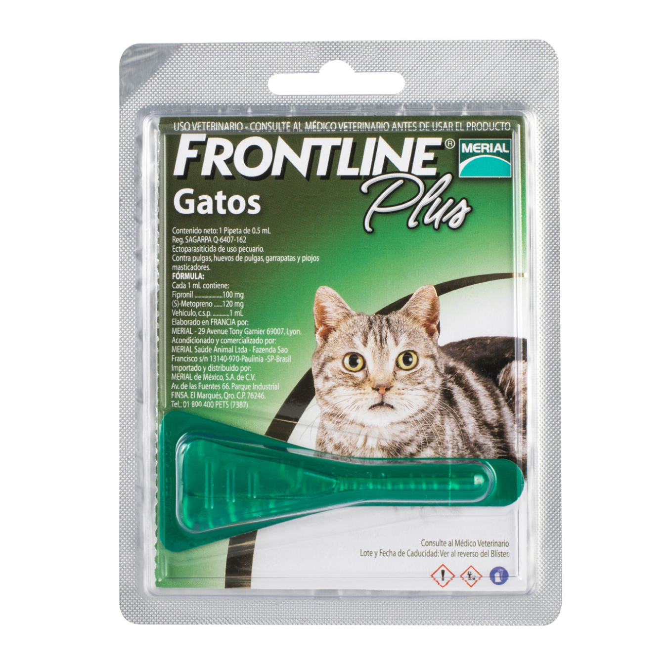 frontline plus gatos pulgas y garrapatas merial antipulgas frontline plus gatos pulgas y garrapatas merial antipulgas